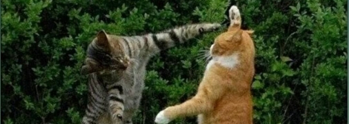 Самые яркие воспоминания обычно начинаются со слов: "Зря мы это делаем…": веселые шутки про друзей