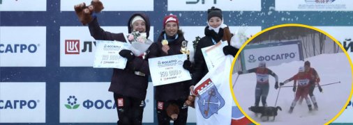 Собака сбила лыжниц во время гонки на чемпионате РФ