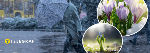 Непогода та квіти