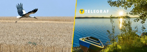 Прогулке ничего не помешает: синоптики рассказали, какой погоды ждать на выходных