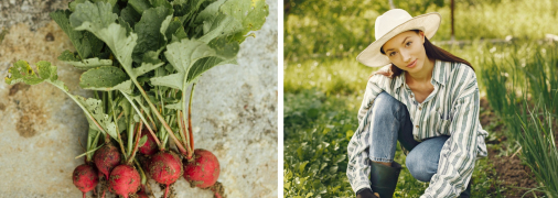 Коли потепліло — саме час сіяти редиску