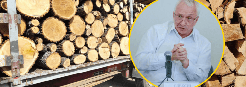 "Теоретически правильный, но…": нардеп раскритиковал закон о дровах