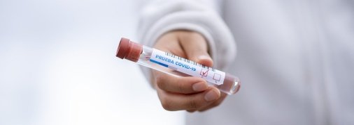 Коронавирус. Фото: pixabay.com