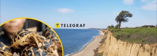 Якого рідкісного плазуна побачили на Одещині