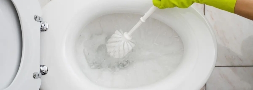 Не нужно прибегать к помощи профессионала, чтобы прочистить унитаз