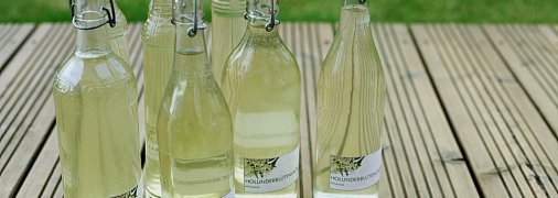 Як приготувати лікер із квіточок бузини