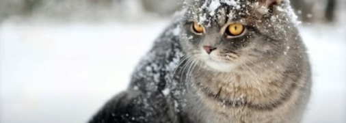 Зима 2022-2023: прогноз погоди