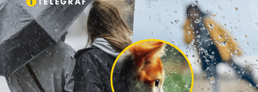 Всю территорию страны накроют осадки