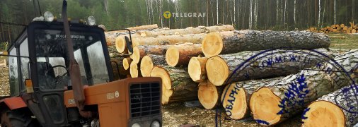 Лісозаготівля