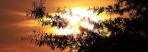 День Петра Солнцеворота: народные приметы и запреты 25 июня