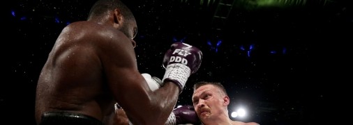 Усик и Дюбуа подрались в конце августа