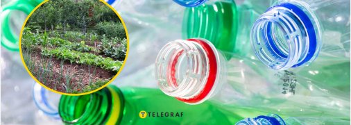 Простий трюк з пластику, який рятує рослини в спеку