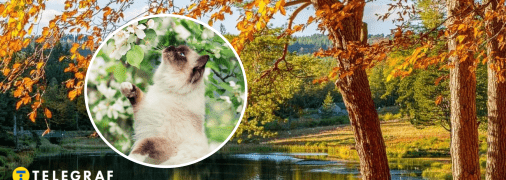 Теплая погода