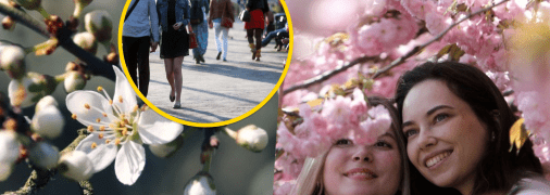 Уже совсем скоро в стране начнут цвести деревья.