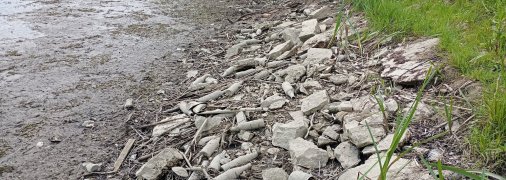 Дно Тустановецького озера вкрите сміттям