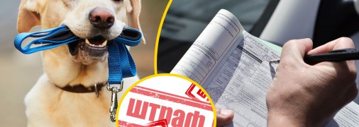 Найсуворіше адміністративне стягнення може сягати понад 5 тисяч гривень