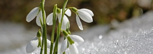 Прогноз погоды на ближайшие дни