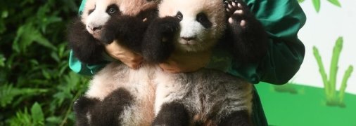 Малышам исполнилось 100 дней.