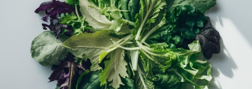 Срок хранения салата можно продлить (изображение создано с помощью ИИ)