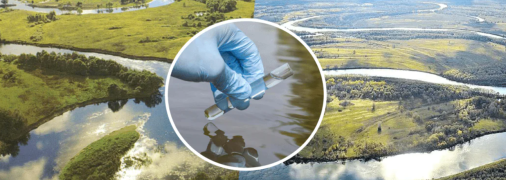 Реки Сейм и Десна