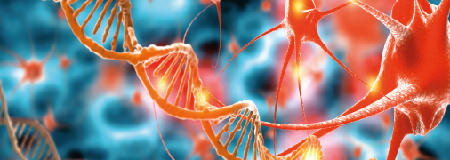 Робота мозку людини (ілюстративне фото)