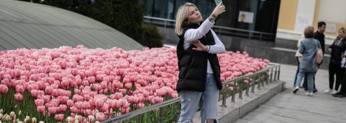 Тюльпани на Майдані Незалежності
