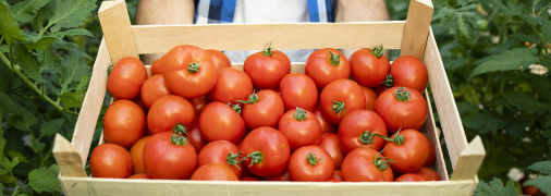 Простые трюки сохранять свежесть продуктов