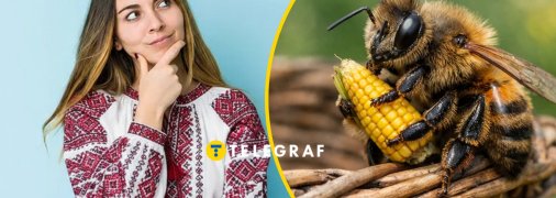 Что означает это слово?