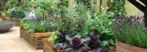 Грядки своими руками не как у всех: интересные идеи для дачного дизайна (Фото)