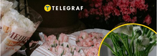 Ці квіти - отруйні для людей