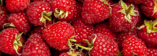 У народі вважали, що сьогодні встигає найкраща малина