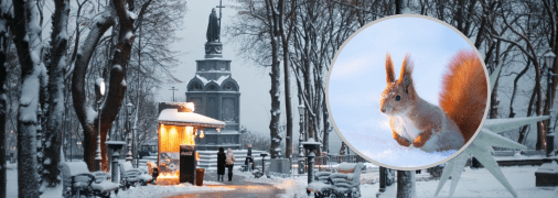 Сніг в Україні