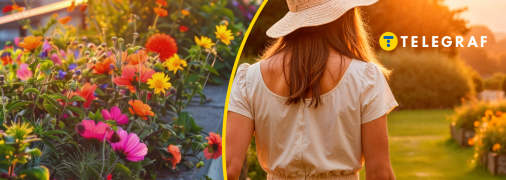 Які квіти посадити у червні