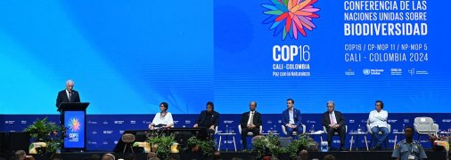 В ходе 16-й Конференции Сторон Конвенции ООН о биологическом разнообразии Армения была выбрана страной, принимающей COP17