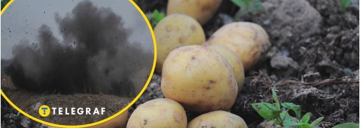 Люди під обстрілами садять картоплю