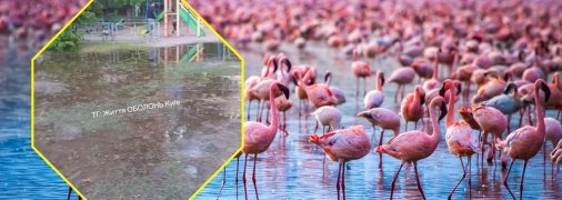 Потоп в Киеве