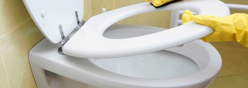 Чем отчистить сиденье унитаза от желтизны