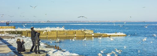 Погода в Одессе