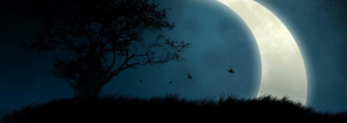 У лютому 2024 року новий Місяць припадає на 10 лютого