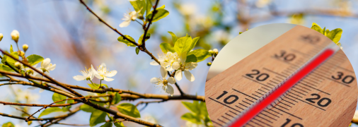 Прогноз погоди