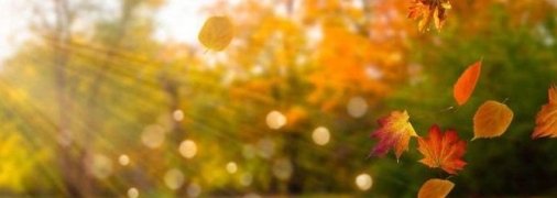 Погода в Украине