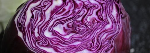 Капуста оптимального кольору