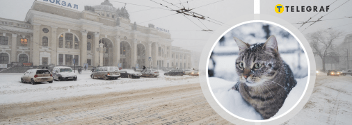 Погода в Одессе