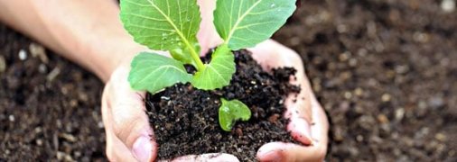 Календарь огородника на май