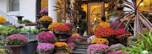 "Кловський сад" не просто крамниця квітів, це творчий простір