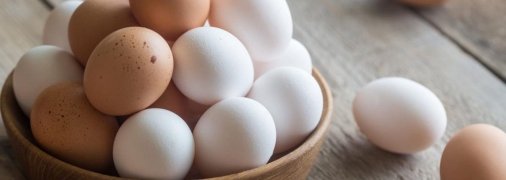 Відкриті джерела