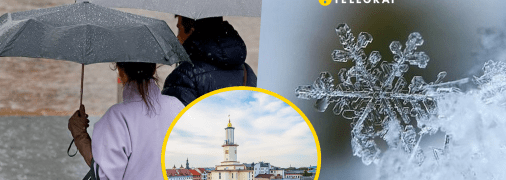 Сильные морозы охватят только один огород области