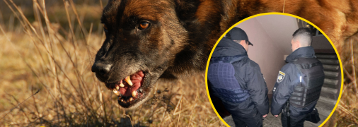 Собака загрызла человека