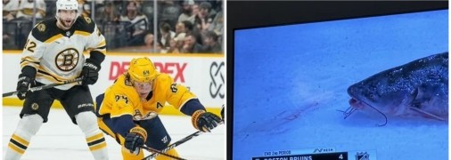 Сом на льду в матче НХЛ
