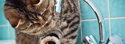 Нет воды в кране